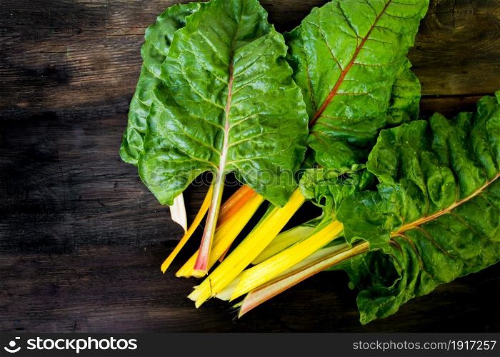 colorful assorted chard leaves from the organic garden. Multicolored chard leaves from the organic garden