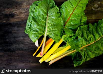 colorful assorted chard leaves from the organic garden. Multicolored chard leaves from the organic garden