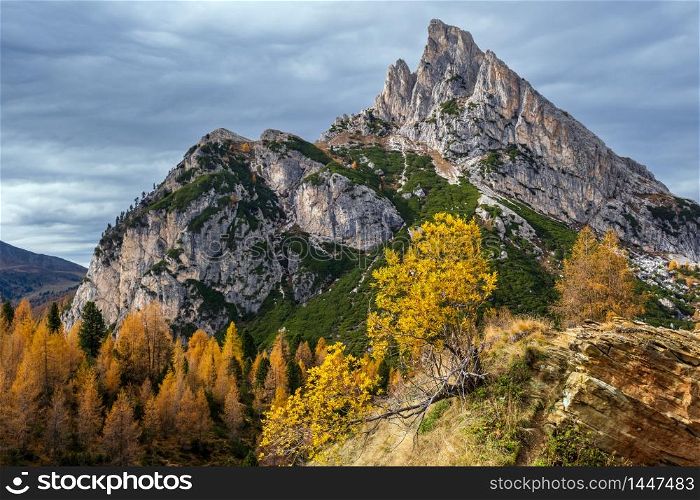 Colorful autumn alpine Dolomites rocky mountain scene, Sudtirol, Italy. Peaceful view from Falzarego Pass. Picturesque traveling, seasonal, nature and countryside beauty concept scene.