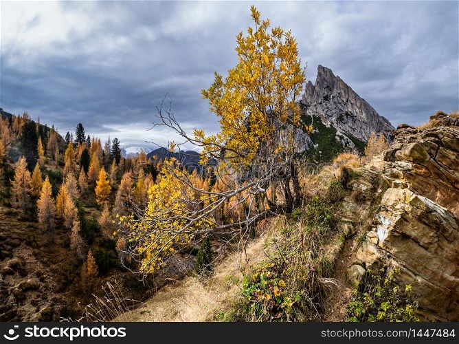 Colorful autumn alpine Dolomites rocky mountain scene, Sudtirol, Italy. Peaceful view from Falzarego Pass. Picturesque traveling, seasonal, nature and countryside beauty concept scene.