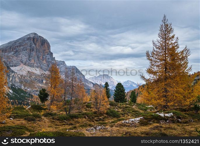 Colorful autumn alpine Dolomites rocky mountain scene, Sudtirol, Italy. Peaceful view from Falzarego Path. Picturesque traveling, seasonal, nature and countryside beauty concept scene.