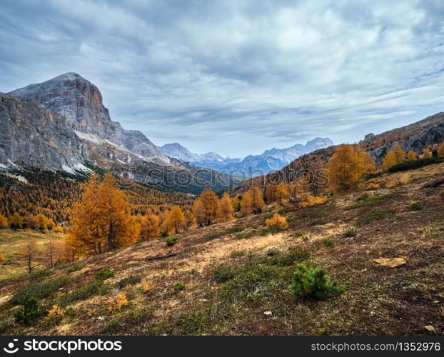 Colorful autumn alpine Dolomites rocky mountain scene, Sudtirol, Italy. Peaceful view from Falzarego Path. Picturesque traveling, seasonal, nature and countryside beauty concept scene.