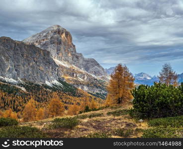 Colorful autumn alpine Dolomites rocky mountain scene, Sudtirol, Italy. Peaceful view from Falzarego Path. Picturesque traveling, seasonal, nature and countryside beauty concept scene.