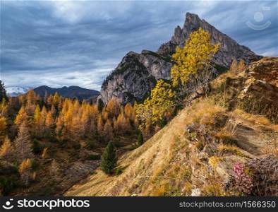 Colorful autumn alpine Dolomites rocky mountain scene, Sudtirol, Italy. Peaceful view from Falzarego Path. Picturesque traveling, seasonal, nature and countryside beauty concept scene.
