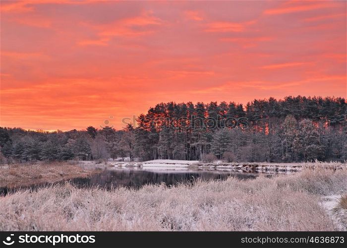 Colorful autumn dawn. Red sky and clouds. First snow in the autumn forest. Belarus autumn scene