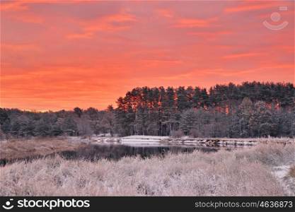 Colorful autumn dawn. Red sky and clouds. First snow in the autumn forest. Belarus autumn scene