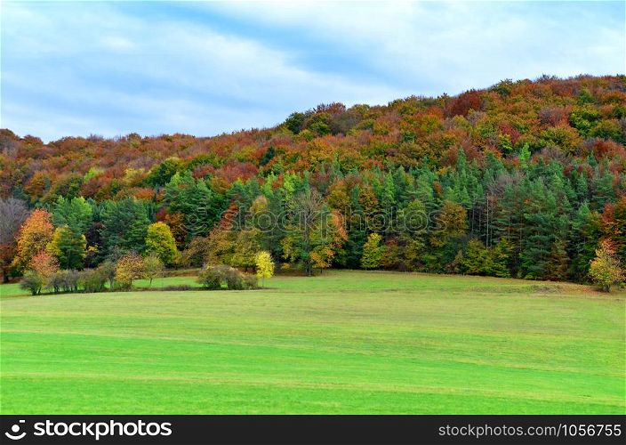 colorful autumn forest in october