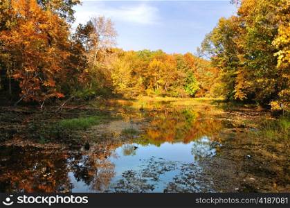 colorful autumn forest with lake