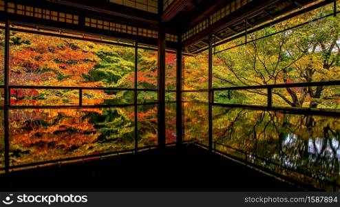 Colorful autumn Japanese garden of Rurikoin temple in Kyoto, Japan