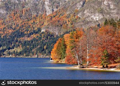 Colorful autumn lake behind forest and mountains. Lake Bohinj in alpine village Ribicev Laz, Slovenia. Lakeside with autumn colors wood