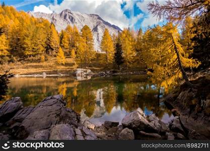 Colorful autumn landscape mountain. Mountains, lake and colrful trees. Italy, Friuli, Lake of Bordaglia.