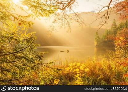 Colorful autumn landscape with the morning sunshine over the Bavarian forest, German Alps and Alpsee lake.