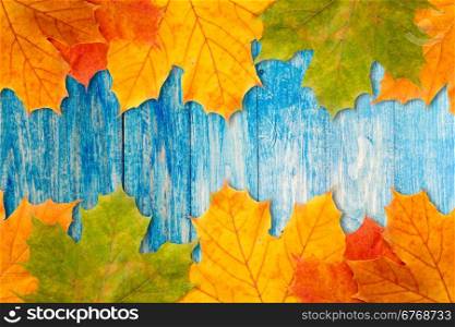 Colorful autumn leaves frame with blue wooden background