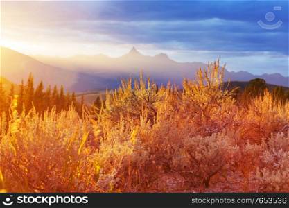 Colorful autumn meadow in mountains. Natural background.