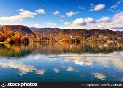 Colorful autumn on Bled lake, Slovenia. Amazing View On Bled Lake With Mountain Range. Slovenia, Europe