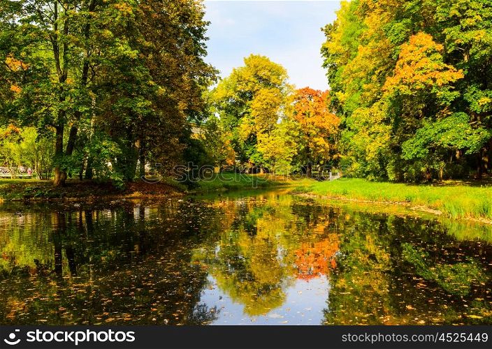 colorful autumn park. colorful autumn leaves on trees in park at sunset