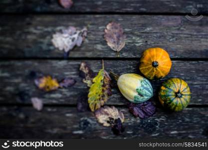 Colorful autumn pumpkins on a wooden background