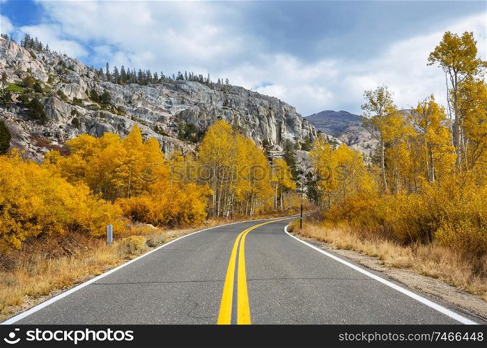Colorful Autumn scene on countryside road in the forest