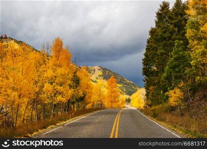 Colorful Autumn scene on countryside road in the sunny morning