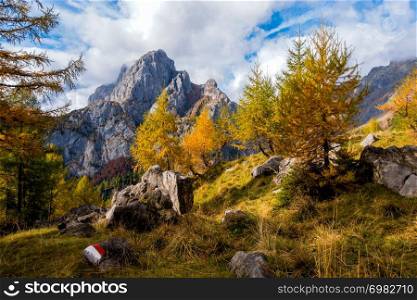 Colorful autumn scene on mountain. Sky with clouds,colorful trees and mountain peak