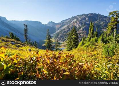 Colorful Autumn season in mountains, Washington state, USA