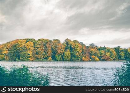 Colorful autumn trees by a lake in autumn with golden leaves in autumn colors on a cloudy day in october