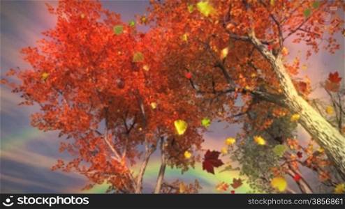 Colorful Autumn Trees with Rainbow and Rain Storm Animation. Great for themes of autumn, seasons, nature, weather, future, trees, backgrounds, travel...