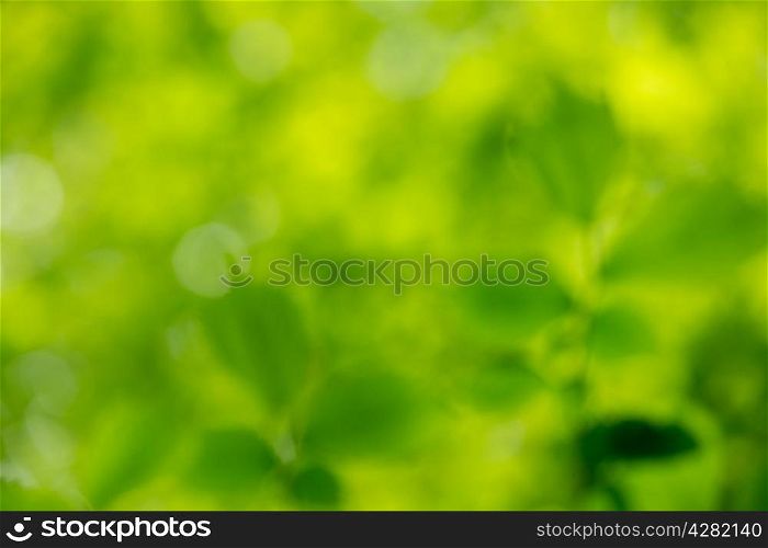 colorful background in green colors