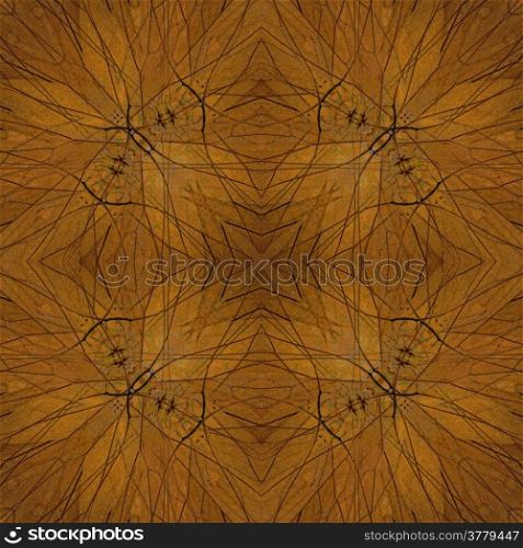 Colorful background pattern made from butterfly wing