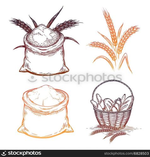 Colorful bakery elements. Colorful bakery elements. Vector bread basket, whole bag of flour and wheat ears isolated on white