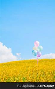 Colorful balloon over yellow flower fields with blue sky background, vintage effect.
