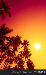 Colorful beach sunset with tropical palms trees silhouettes and shining sun