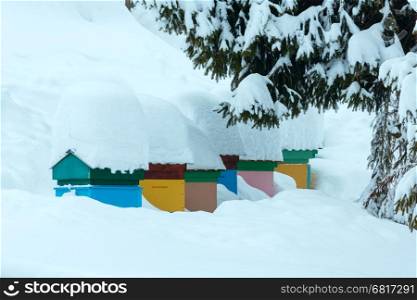 Colorful beehives with snowdrift on roofs on the slope in winter Ukrainian Carpathians.