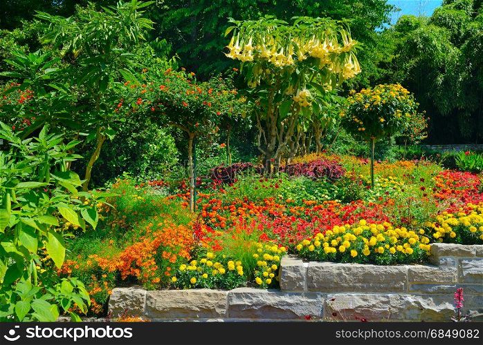 Colorful blooming flowerbed and trees at summer park.