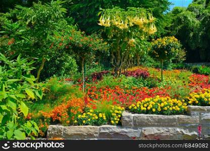 Colorful blooming flowerbed and trees at summer park.