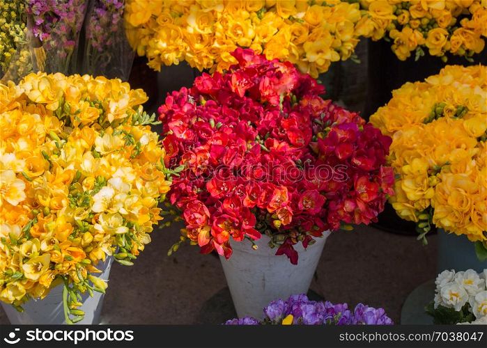 Colorful blooming spring flowers in vase