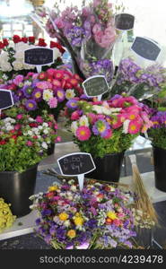 Colorful bouquets at a market in the Provence