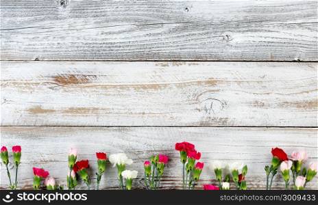Colorful carnations forming bottom border on white weathered wooden boards