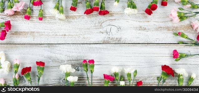 Colorful carnations forming rectangle shape border on white weathered wooden boards