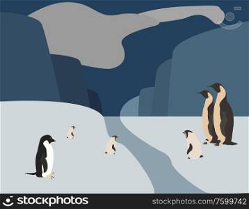 Colorful cartoon penguins on the ice in Aktika. Parents and children. Vector Illustration. EPS10. Colorful cartoon penguins. Parent and child. Vector IllustrationColorful cartoon penguins on the ice in Aktika. Parents and children. Vector Illustration
