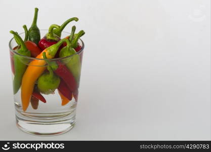 colorful chili peppers on a white background