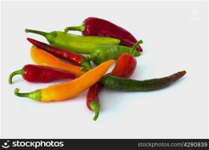 colorful chili peppers on a white background