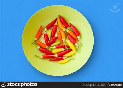 colorful chili peppers plate isolated on blue background