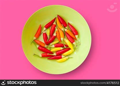 colorful chili peppers plate isolated on pink background