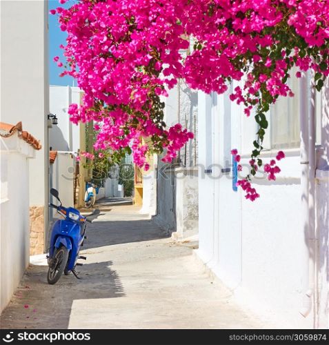 Colorful cosy greek small street on sunny summer day in Perdika fishing village , Aegina Island, Greece