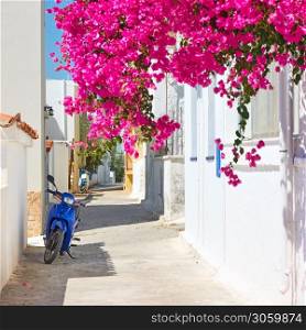 Colorful cosy greek small street on sunny summer day in Perdika fishing village , Aegina Island, Greece