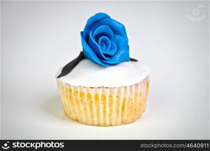 Colorful Cupcake in a vignette background