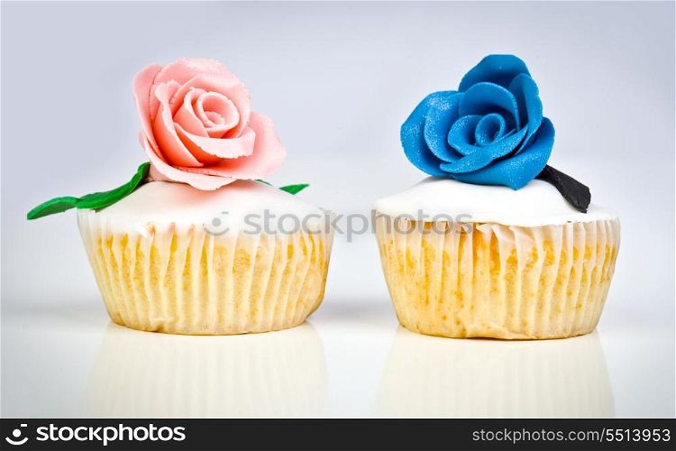 Colorful Cupcake in a vignette background