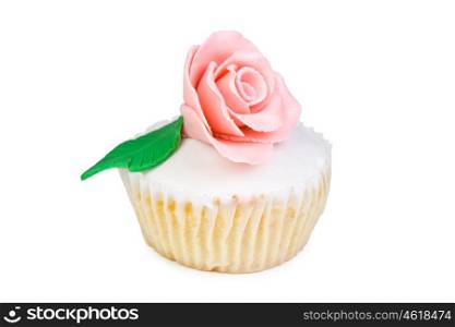 Colorful Cupcake in a white background
