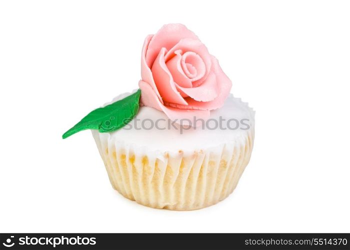 Colorful Cupcake in a white background